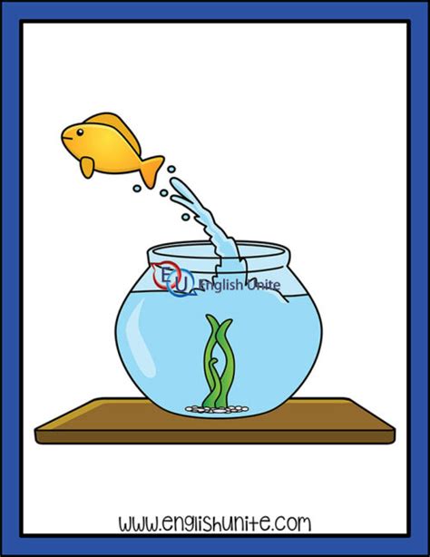A Fish Out Of Water .